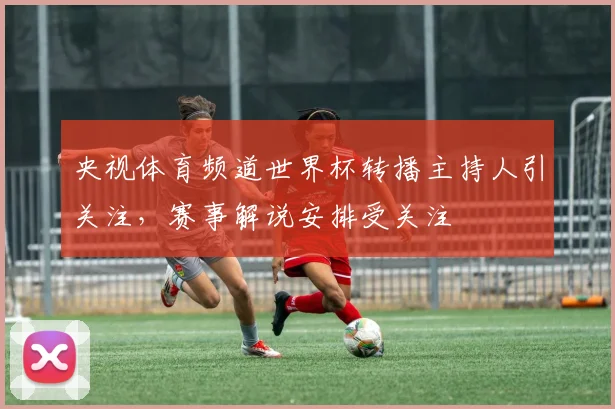 央视体育频道世界杯转播主持人引关注，赛事解说安排受关注