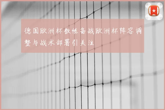 德国欧洲杯教练备战欧洲杯阵容调整与战术部署引关注