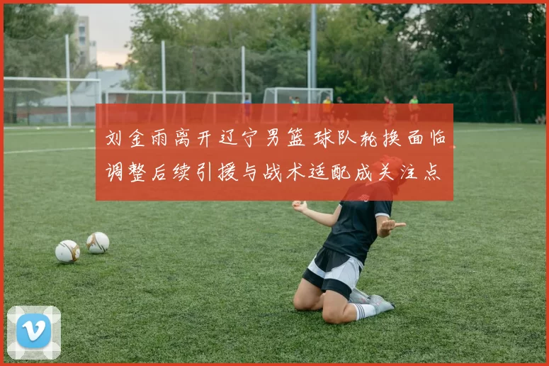 刘金雨离开辽宁男篮 球队轮换面临调整后续引援与战术适配成关注点