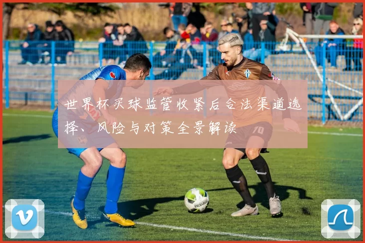 世界杯买球监管收紧后合法渠道选择、风险与对策全景解读